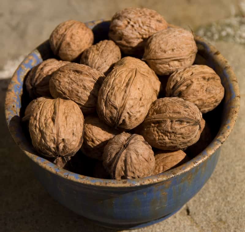 تصویر 2 از گردو تویسرکان همدان با پوست کاغذی و طعمی استثنایی